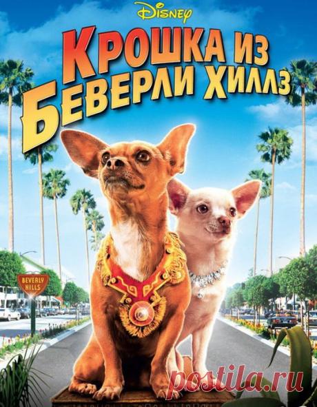 Замечательный, добрый фильм."Крошка из Беверли-Хиллз"(2008)Приятного просмотра!