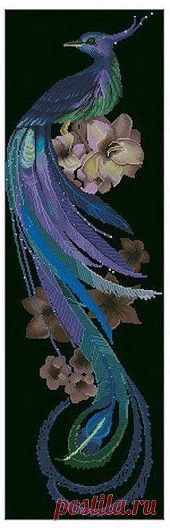 (26) Одноклассники