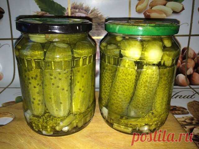 Маринованные огурцы «по-детски»
Ингредиенты (из расчета на 3 литровых банки):
Соль — 2 ст. ложки
Сахар — 5 ст. ложек
Лимонная кислота — 1,5 ч. ложек