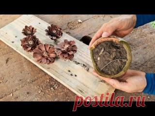 Идеи для декора из сосновых шишек своими руками