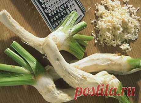 &quot;Давление - на хрен!&quot; (информация гипертоникам).