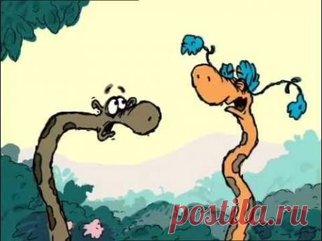 Смешные мультики для взрослых.
