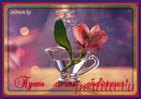 Пусть мечты сбываются!