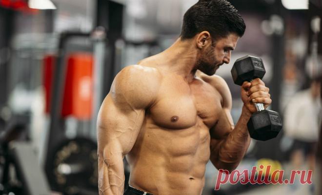 Качаем бицепсы только гантелями: 20 минут в день достаточно - TRENDYMEN - медиаплатформа МирТесен