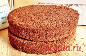 Рецепты бисквитов - 133 рецептов на Tortik.club