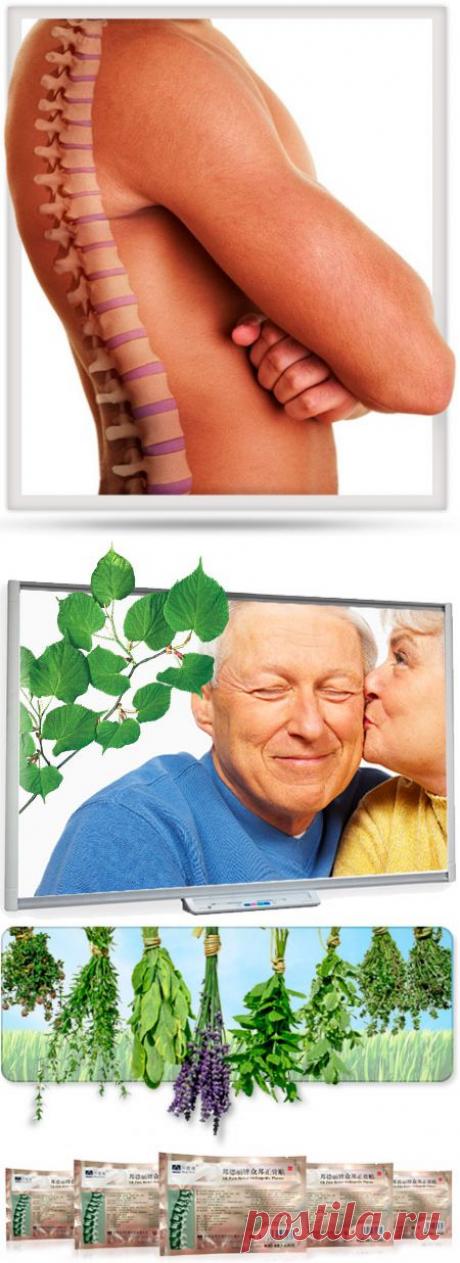 Ортопедические пластыри «ZB PAIN RELIEF»