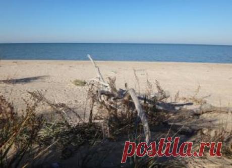 Велопоход. На переправу. 2018-11-08 — Яндекс.Диск