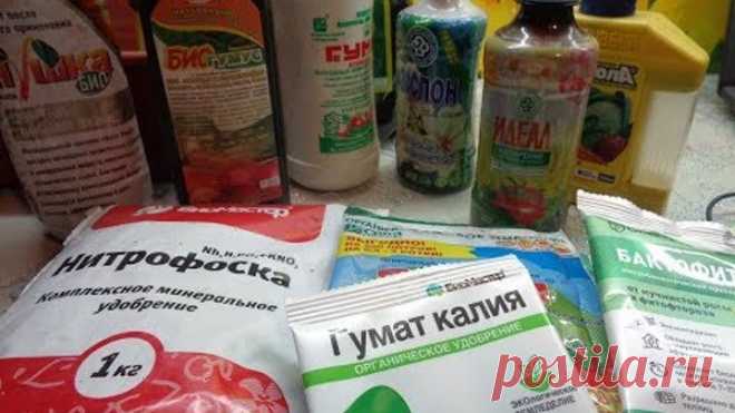 ПОСЕВЫ 2019. КАК ПОВЫСИТЬ ПЛОДОРОДИЕ ГРУНТА В ЛОТКЕ? Ольга Чернова.