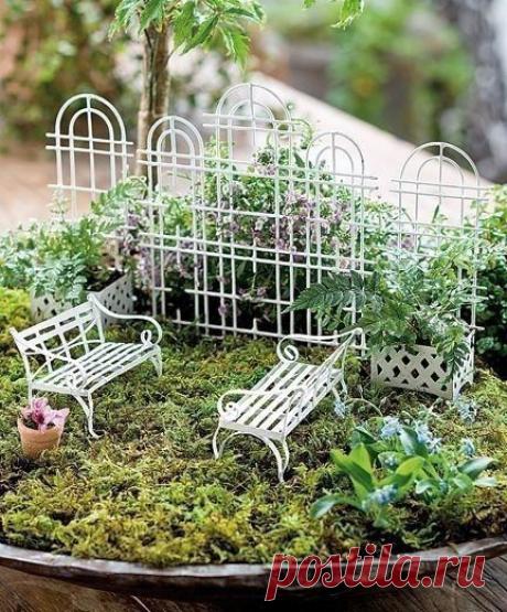 Идеи садов в миниатюре: идеи для творчества