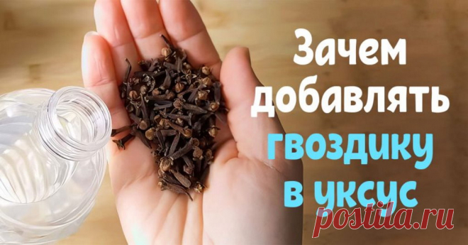 Как сделать средство от насекомых в квартире | Полезные советы на все случаи жизни