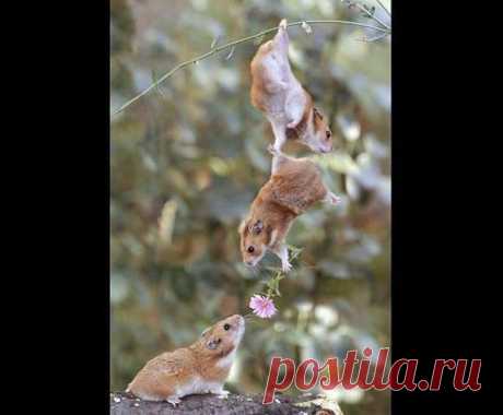 Вот он, настоящий романтик