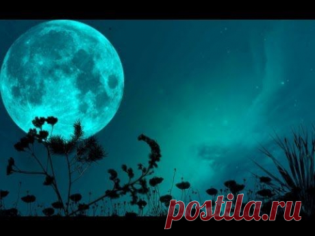 Семён Надсон - Стихотворения (1) - YouTube