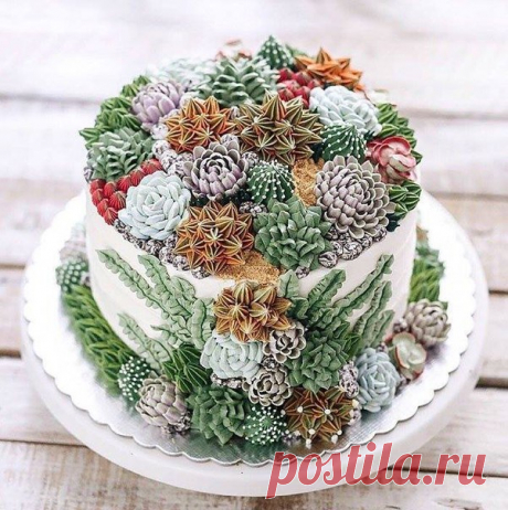 Какая красота! / Абсолютное здоровье