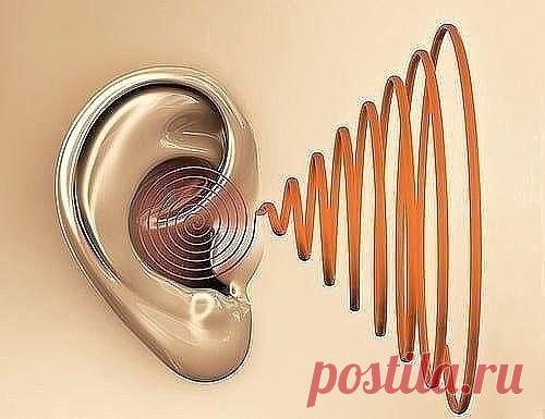 РЕЦЕПТЫ ПРИ ШУМАХ В УШАХ И ГОЛОВНЫХ БОЛЯХ