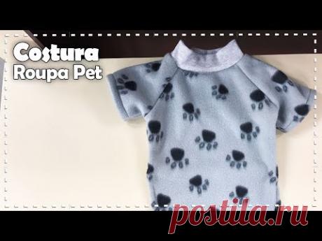ROUPA PARA CACHORRO com Lourdes Cavalini - Programa Arte Brasil - 15/08/2017
