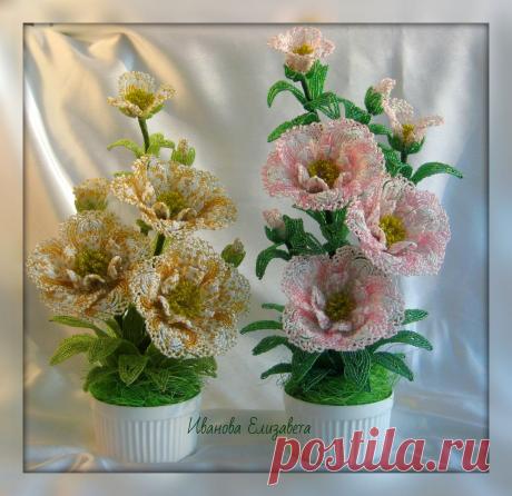 Морозник | biser.info - всё о бисере и бисерном творчестве