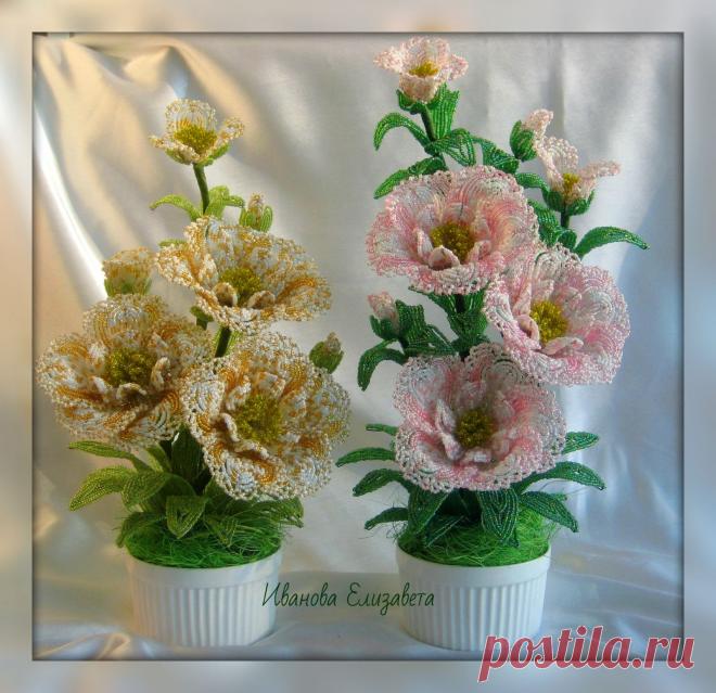 Морозник | biser.info - всё о бисере и бисерном творчестве