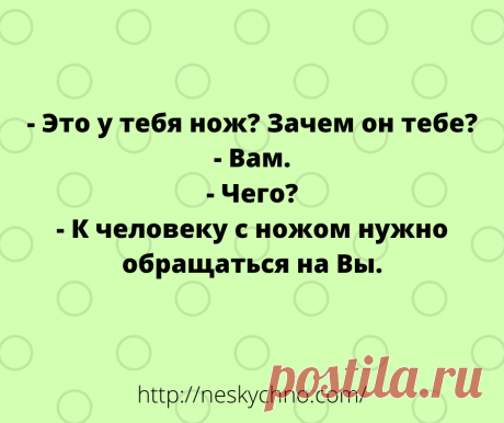 20+ житейских анекдотов для хорошего настроения – Нескучно