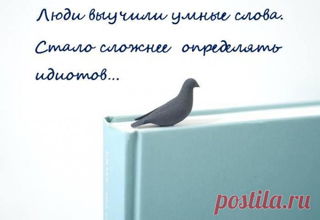 Не тратьте деньги с УМОМ, ОН может еще пригодиться...