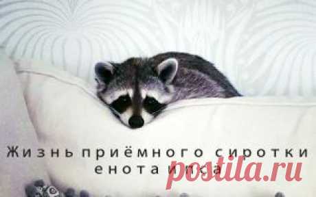Когда ставится тире?