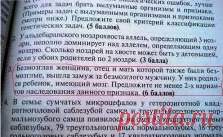 Диверсия в области образования приобретает угрожающий размах - First they ignore you, then they laugh at you, then they fight you, then you win.&lt; Mohandas Ghandhi