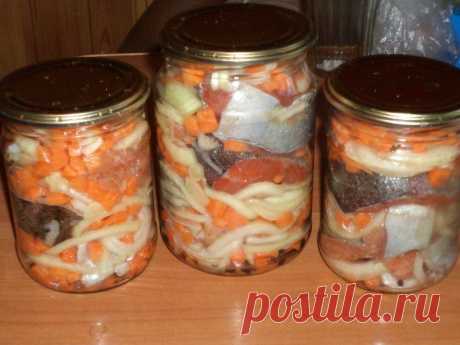 Консервированный минтай с овощами на зиму &amp;#8212; Домашние