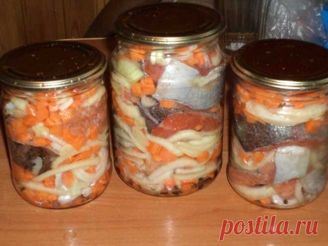 Консервированный минтай с овощами на зиму &#8212; Домашние