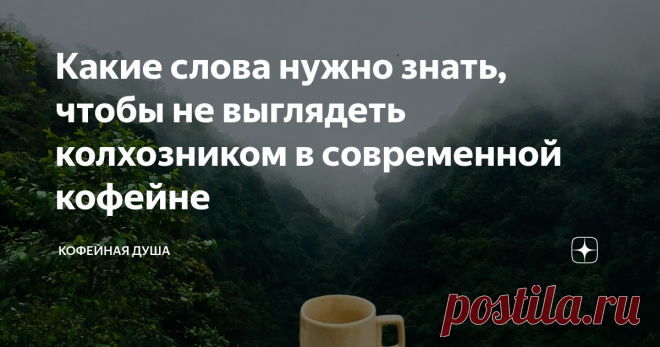 Какие слова нужно знать, чтобы не выглядеть колхозником в современной кофейне