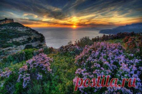 Спокойной ночи