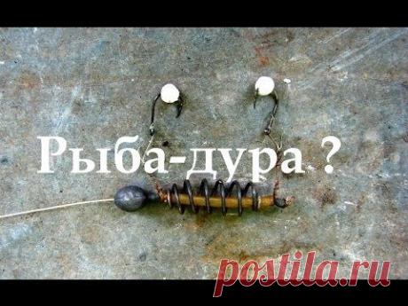 Почему рыба дура клюет на пенопласт - YouTube