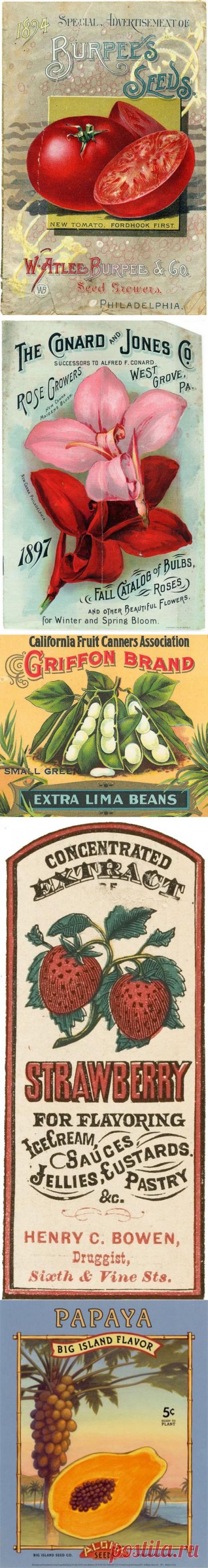 Кухонные этикеточки / Картинки для декупажа / PassionForum - мастер-классы по рукоделию