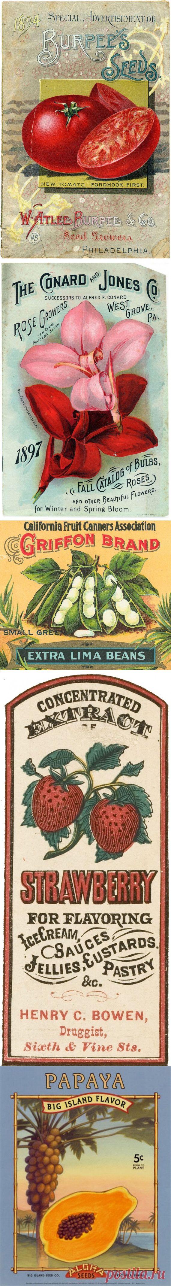 Кухонные этикеточки / Картинки для декупажа / PassionForum - мастер-классы по рукоделию