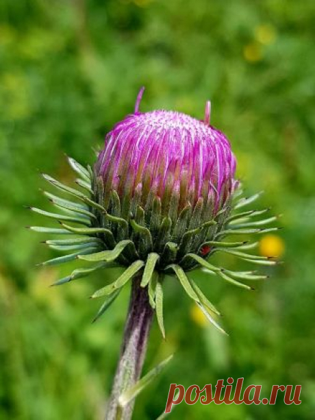 Glücksmomente aus der Natur - Fotky
