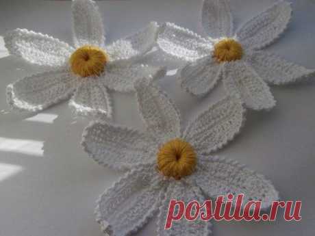 Ромашки