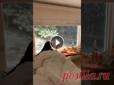 Домашний уют Домашний уют...