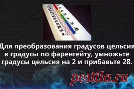 Хитрости Жизни