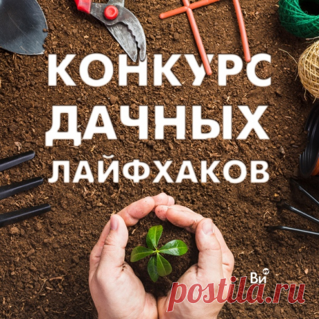 Каждый дачник – опытный и не очень – имеет свои хитрости. Почему бы ими не поделиться! Расскажите, как вы добиваетесь классных результатов на даче. Возьмите на вооружение идеи других садоводов. Обмениваться опытом – это здорово! Тем более если за это можно получить полезный приз. 🎁Что можно выиграть? 1 место - сертификат на 25000 рублей 2 место - сертификат на 15000 рублей 3 место - сертификат на 5000 рублей +В группе ВКонтакте пройдет зрительское голосование 5 участников, набравших больше…