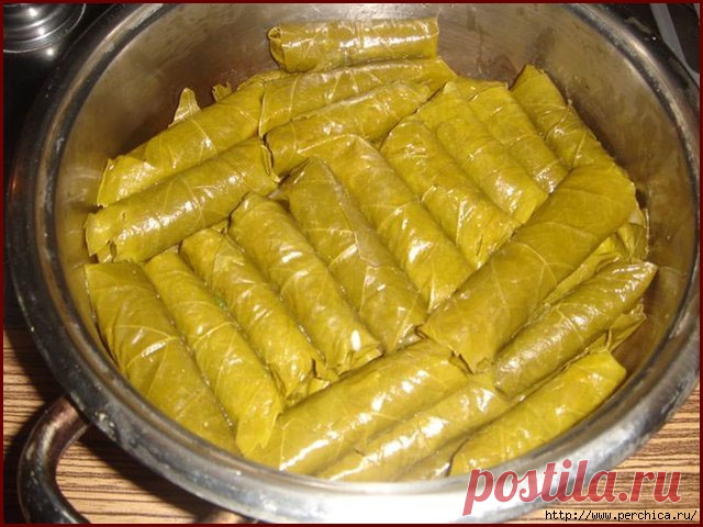 Маринованные виноградные листья для долмы
