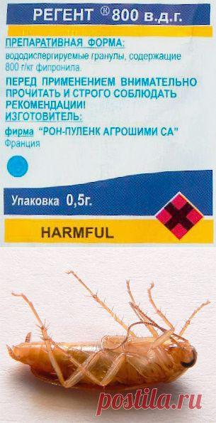 САМОЕ НАДЕЖНОЕ СРЕДСТВО ОТ ТАРАКАНОВ! Если насекомые расплодились в невероятном количестве и уже не кажутся пугливыми существами, разбегающимися по щелям при любом шорохе – значит, настало время купить Регент 800 – мощное средство от тараканов и нанести сокрушительный удар по рыжим паразитам!
