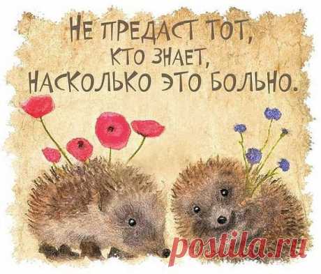 Одноклассники