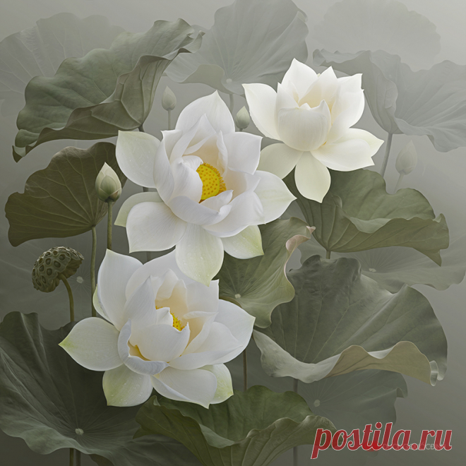 Блог - Привет.ру - duong quoc dinh - Личный интернет дневник пользователя Виктор62