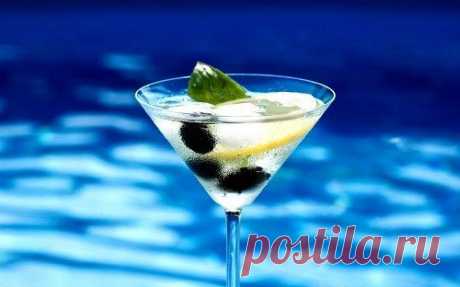 Как пить Martini extra dry :: мартини употребление :: Употребление и сочетание :: KakProsto.ru: как просто сделать всё