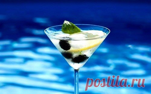 Как пить Martini extra dry :: мартини употребление :: Употребление и сочетание :: KakProsto.ru: как просто сделать всё
