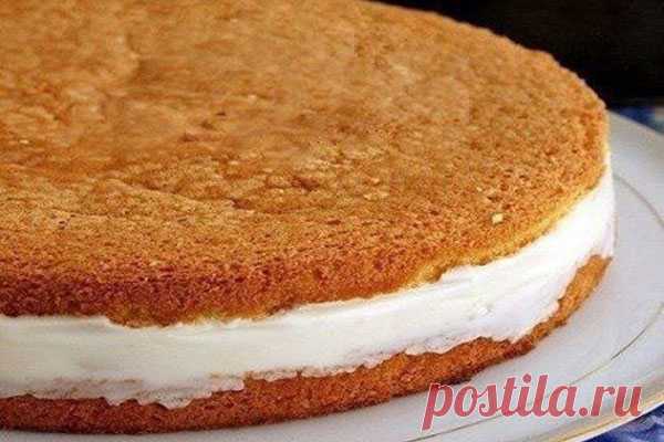 Торт с нежнейшим творожным кремом - КУХНЯ МИРА 
 
 
 
 
 
 
 
 
 Готовим простой, но очень вкусный десерт к семейным чаепитиям! Ингредиенты: Для бисквита: 5 яиц 1 ст. сахар 1 ст. муки 1 ч.л. тертой цедры лимона Для крема: 20 г желатина 150 мл воды 300 гр творога 5 ст л сахарной пудры 250 мл сливок консервированные ананасы […]