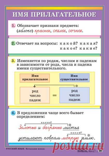 Имя прилагательное - Наглядные и раздаточные материалы - издательство Дрофа –…