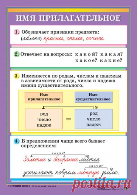 Имя прилагательное - Наглядные и раздаточные материалы - издательство Дрофа –…