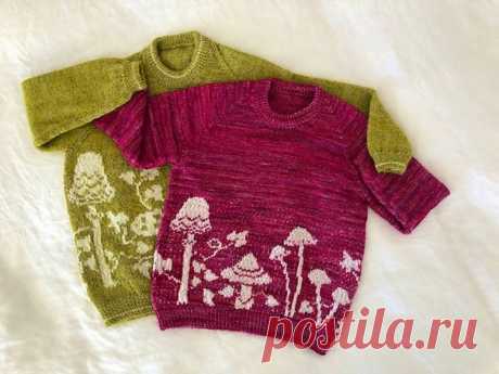 Новая модель на Ravelry.
Подбор схемы по фото

#реглан_спицами
#реглан_жаккард
#джемпер_спицами