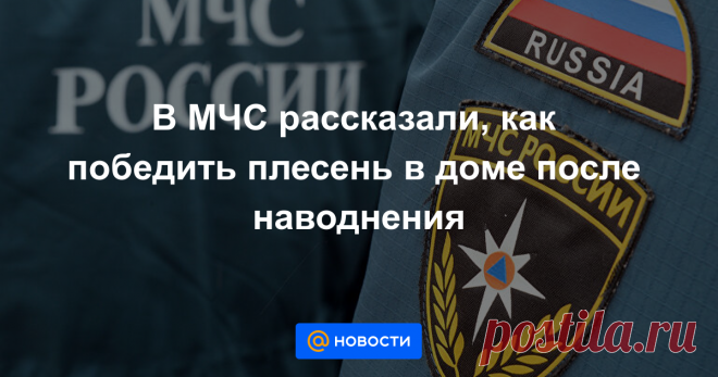 В МЧС рассказали, как победить плесень в доме после наводнения