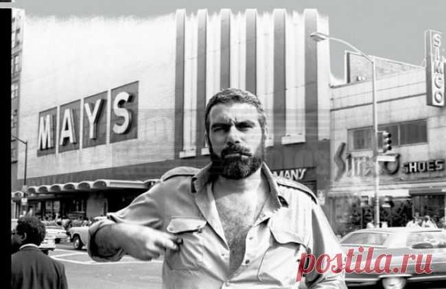 С днем рождения, Сергей Довлатов!