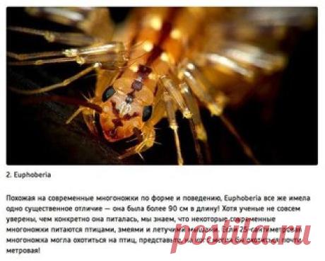 Мои закладки
